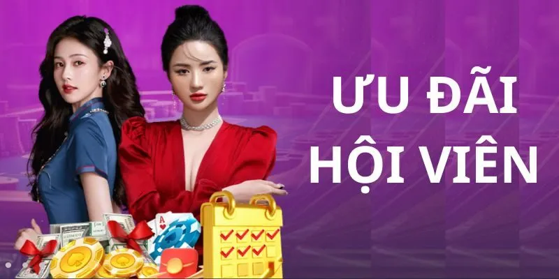 Giao diện đăng nhập V9Bet nhanh trên web