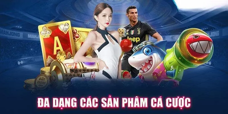 Chính sách bảo mật và giao dịch minh bạch của V9Bet